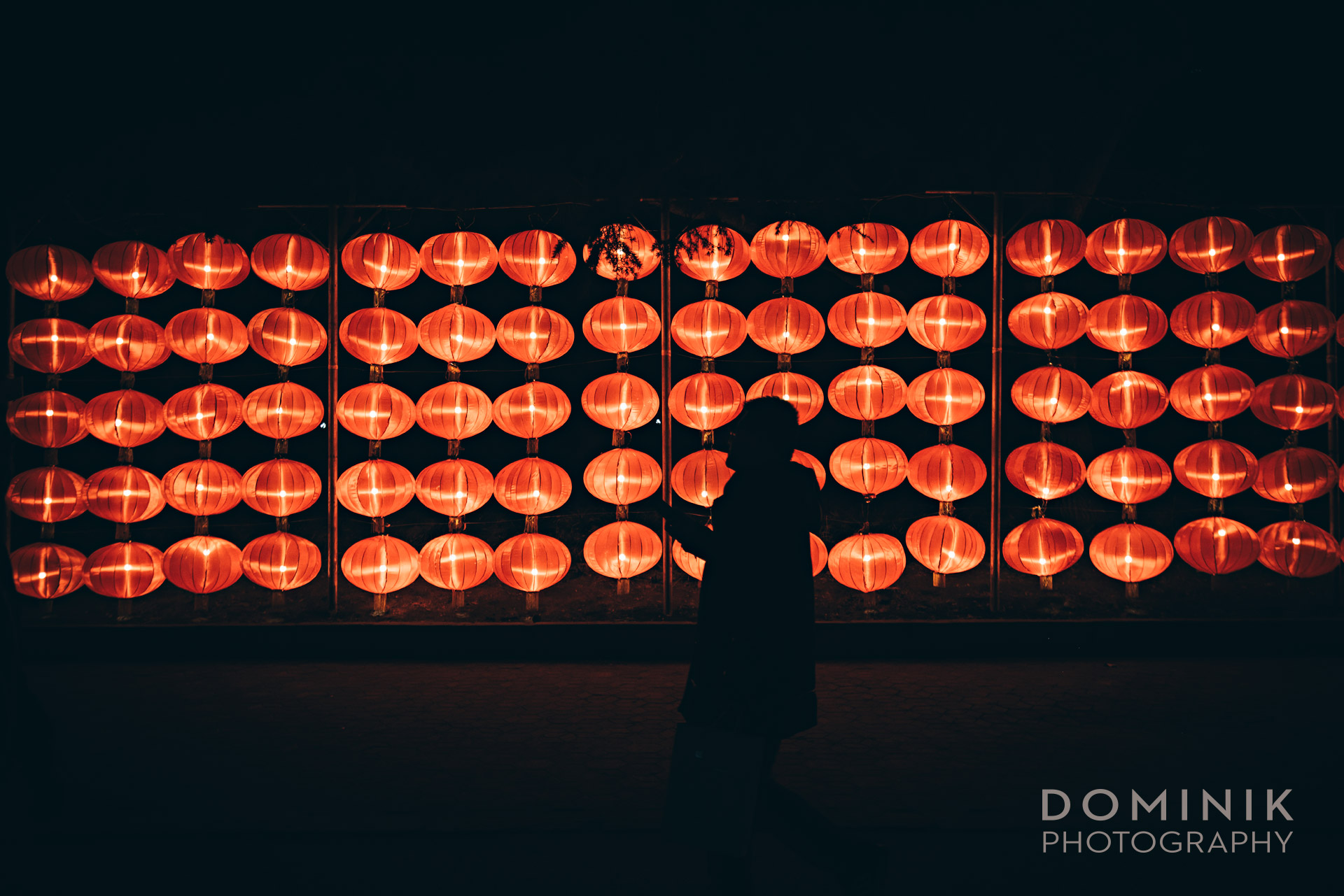 Dalian China by Dominik Photographer